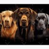 flat750x075f pad750x1000f8f8f8.u2 24 - Labrador Gifts