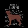 flat750x075f pad750x750f8f8f8 11 - Labrador Gifts