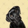 flat750x075f pad750x750f8f8f8 22 - Labrador Gifts