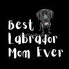 flat750x075f pad750x750f8f8f8 32 - Labrador Gifts