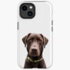 icriphone 14 toughbackax1000 pad1000x1000f8f8f8.u21 20 - Labrador Gifts