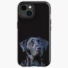 icriphone 14 toughbackax1000 pad1000x1000f8f8f8.u21 5 - Labrador Gifts