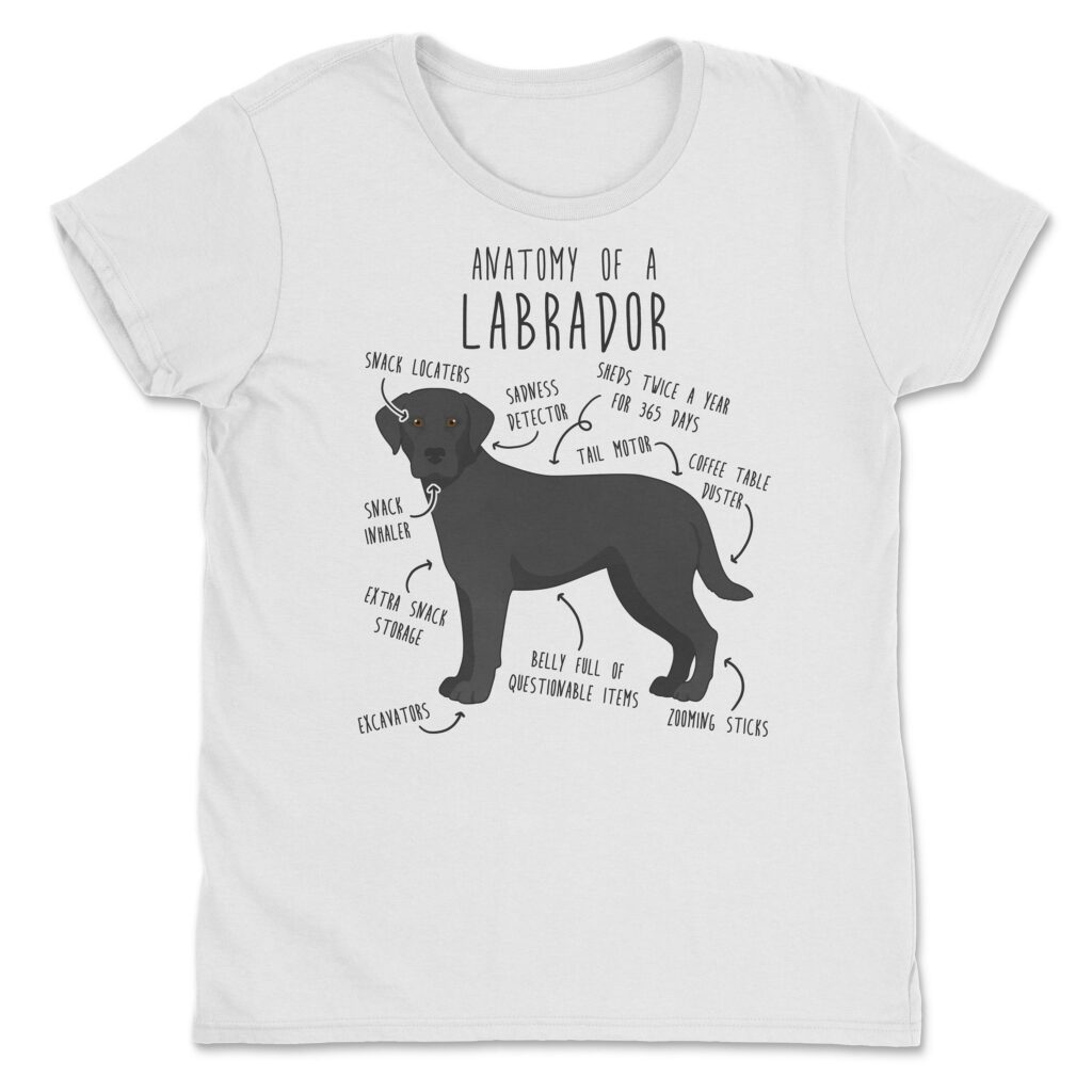 il fullxfull.4354582760 lhse scaled - Labrador Gifts