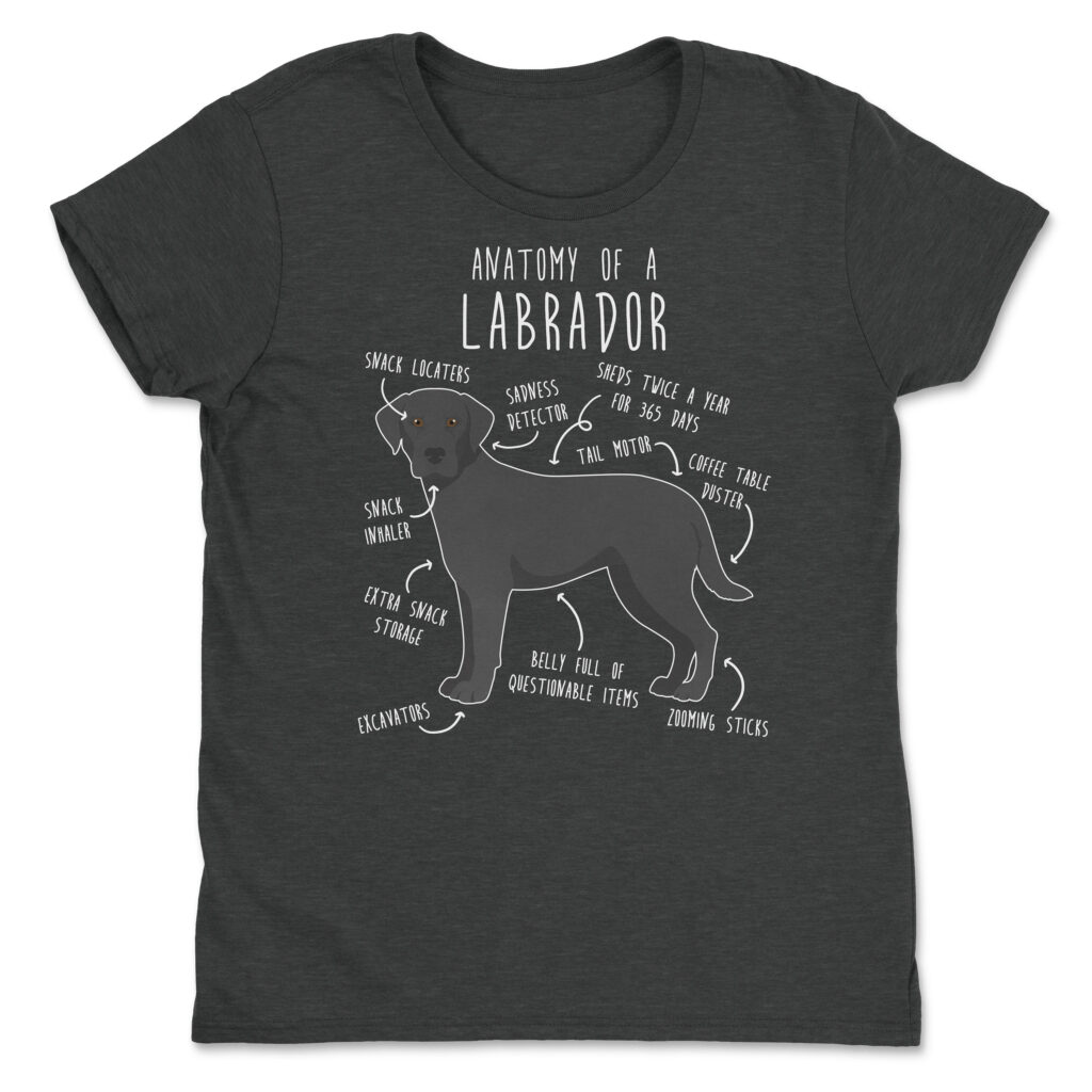 il fullxfull.4354583322 p5lf scaled - Labrador Gifts