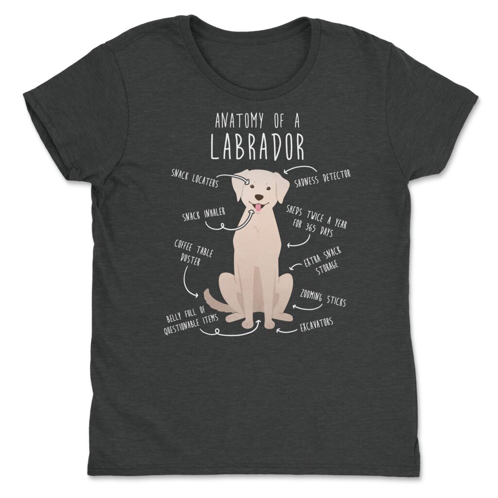 il fullxfull.4354583330 xxua scaled - Labrador Gifts