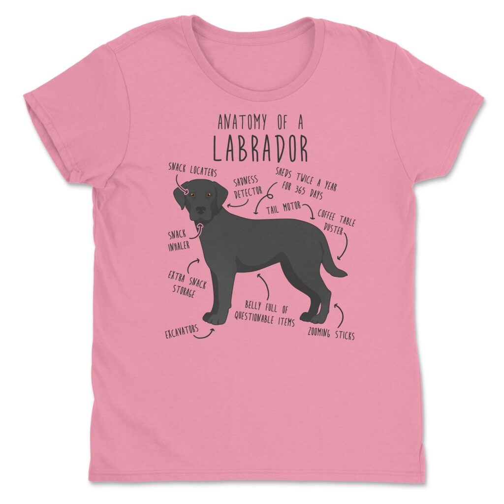 il fullxfull.4354583444 c4lm scaled - Labrador Gifts