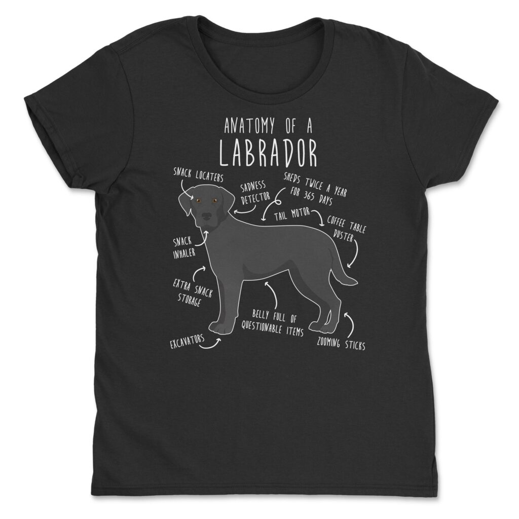 il fullxfull.4354583752 c4dk scaled - Labrador Gifts