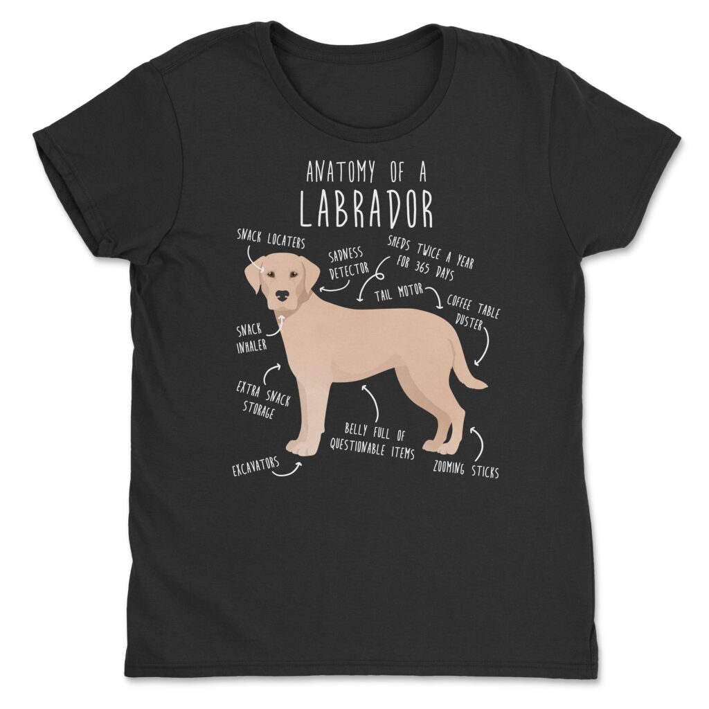 il fullxfull.4354583872 70rj scaled - Labrador Gifts