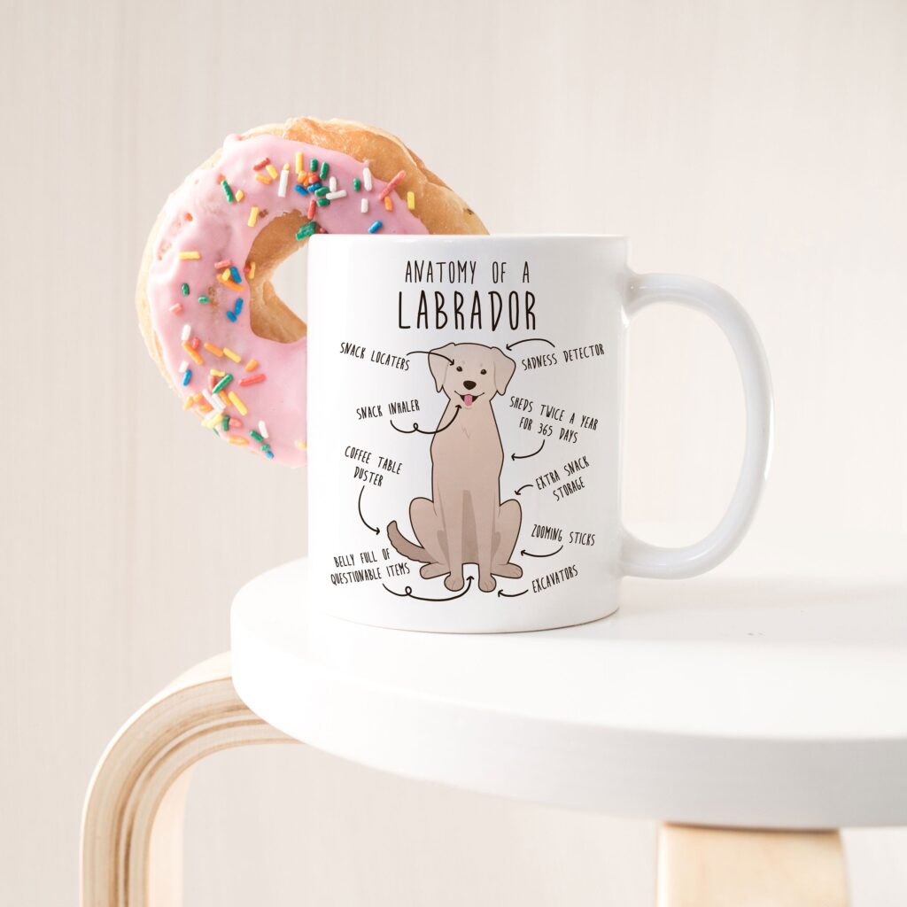 il fullxfull.4354600652 726w scaled - Labrador Gifts