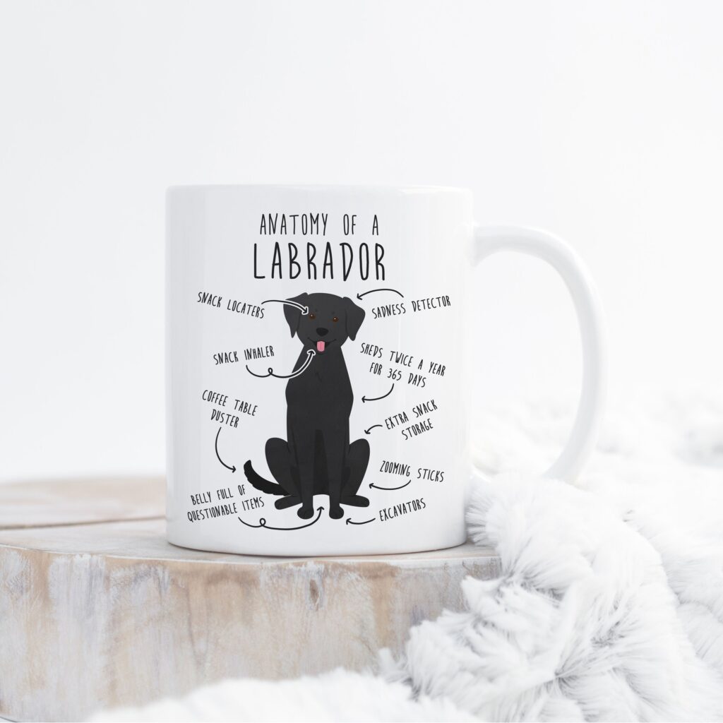 il fullxfull.4357828050 kirs scaled - Labrador Gifts