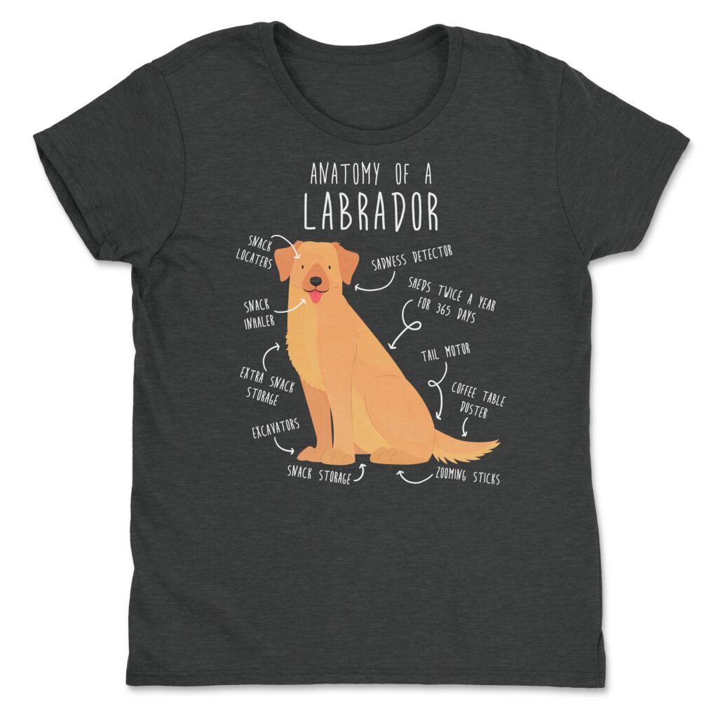 il fullxfull.4357828524 o9ip scaled - Labrador Gifts