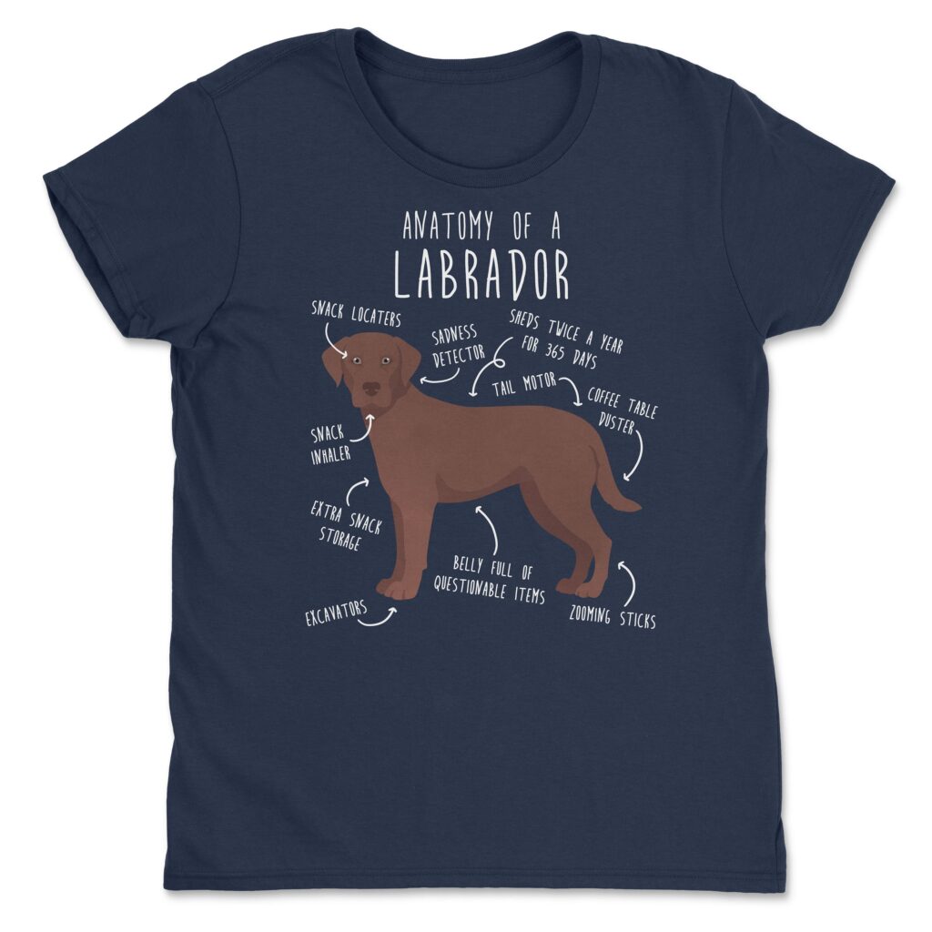 il fullxfull.4398509393 pmry scaled - Labrador Gifts