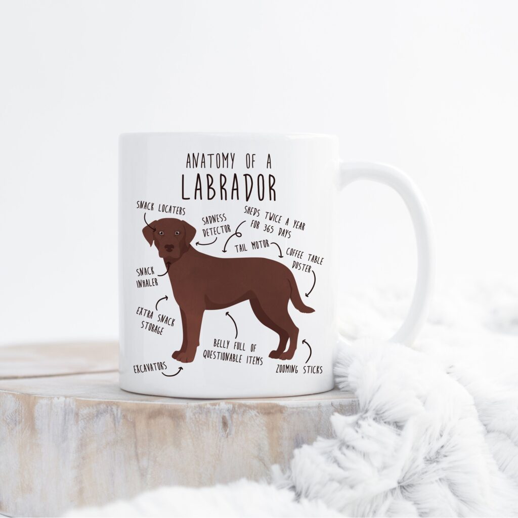 il fullxfull.4398509855 oe31 scaled - Labrador Gifts