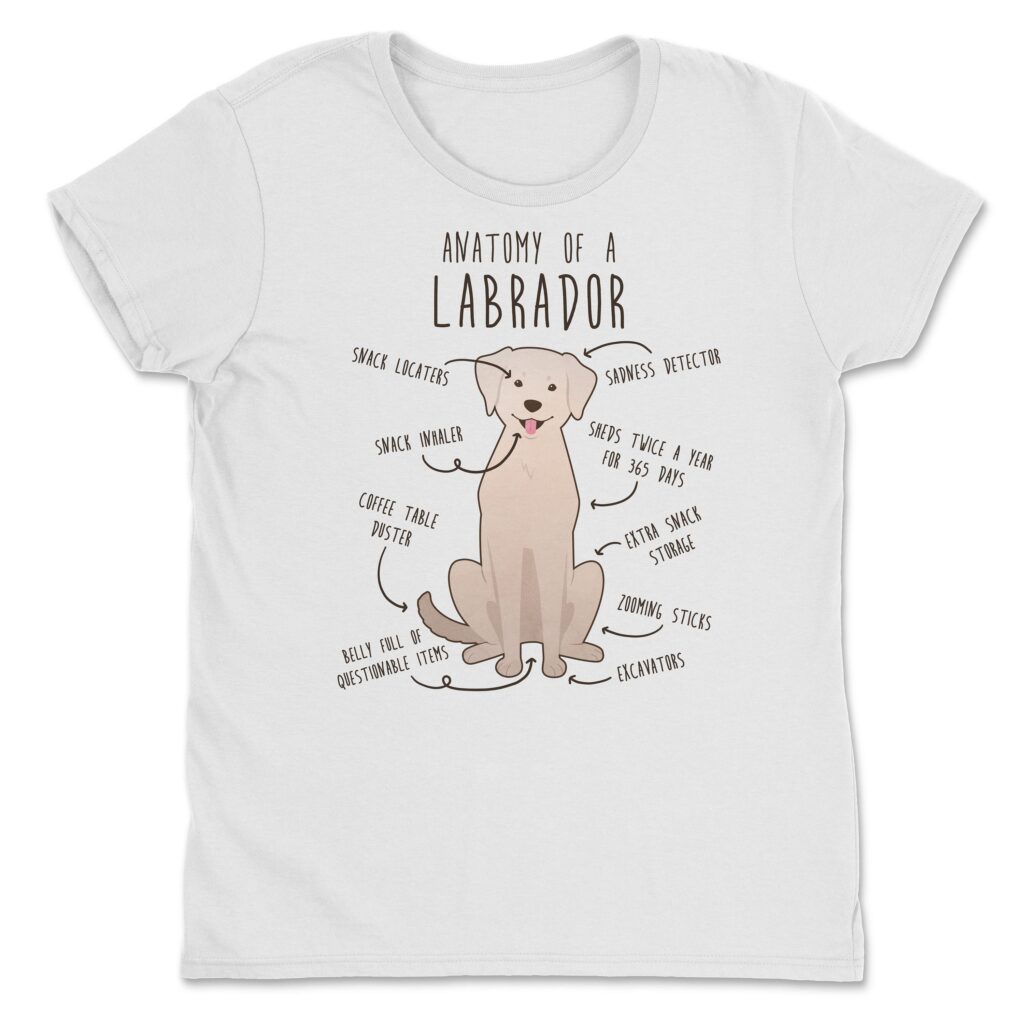 il fullxfull.4401967955 ttja scaled - Labrador Gifts