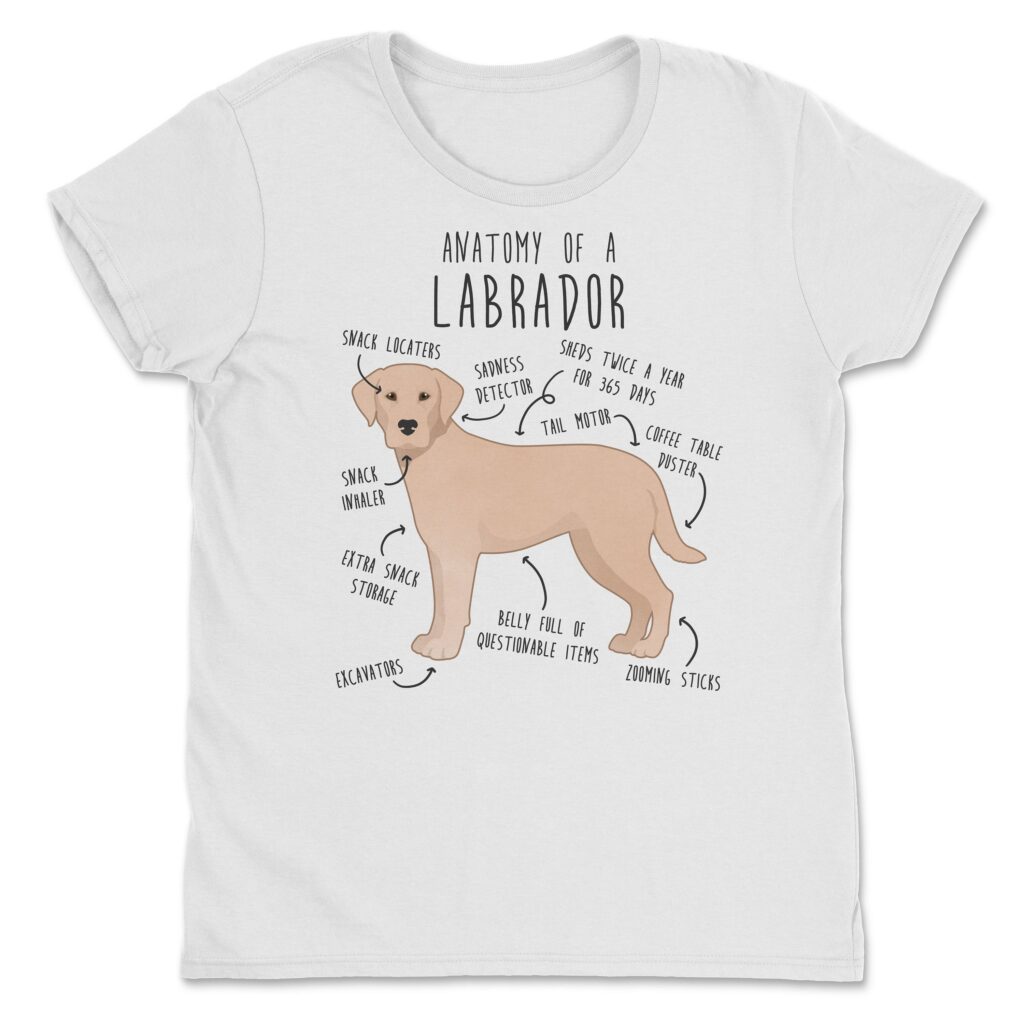 il fullxfull.4401967967 3hgy scaled - Labrador Gifts