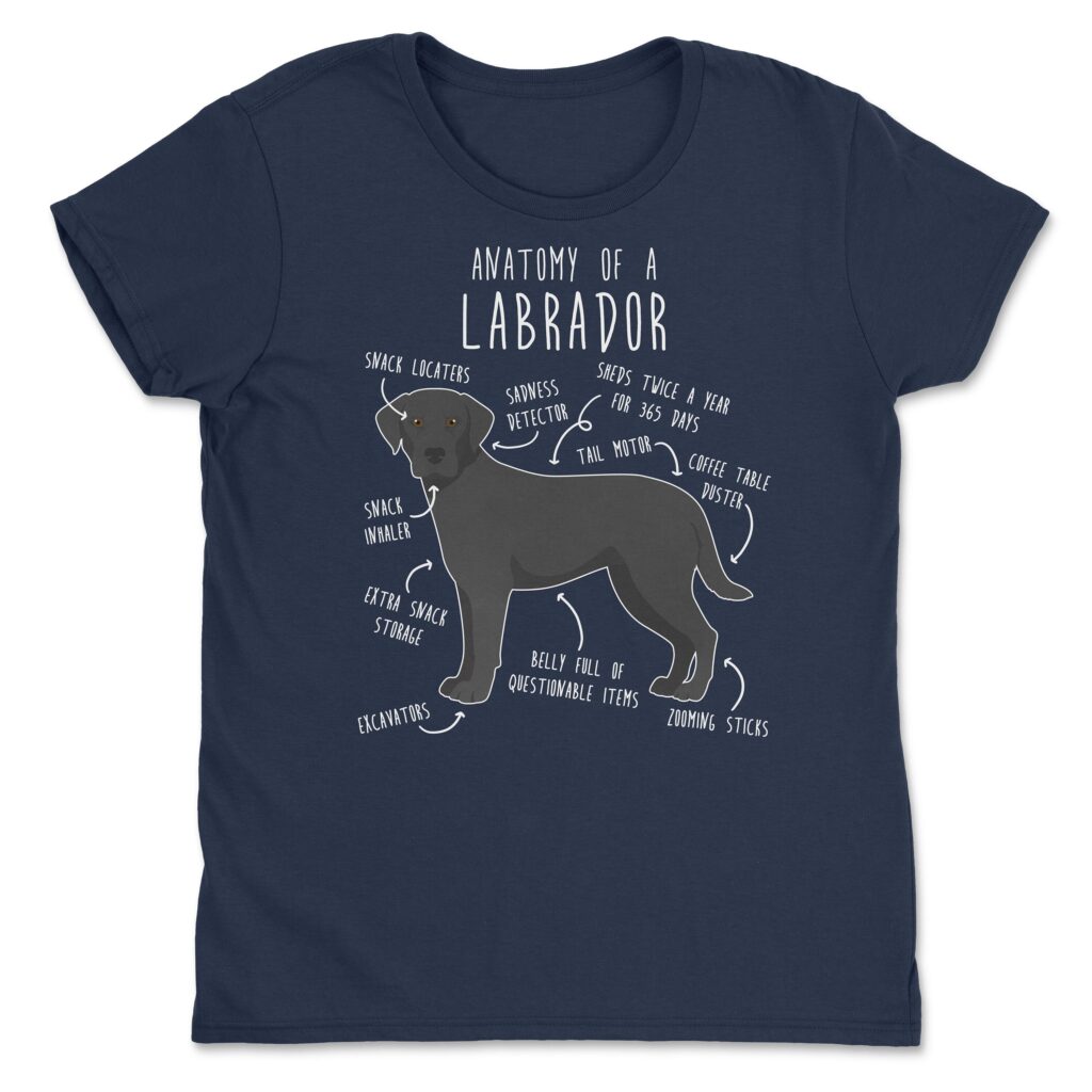 il fullxfull.4401968101 c31f scaled - Labrador Gifts