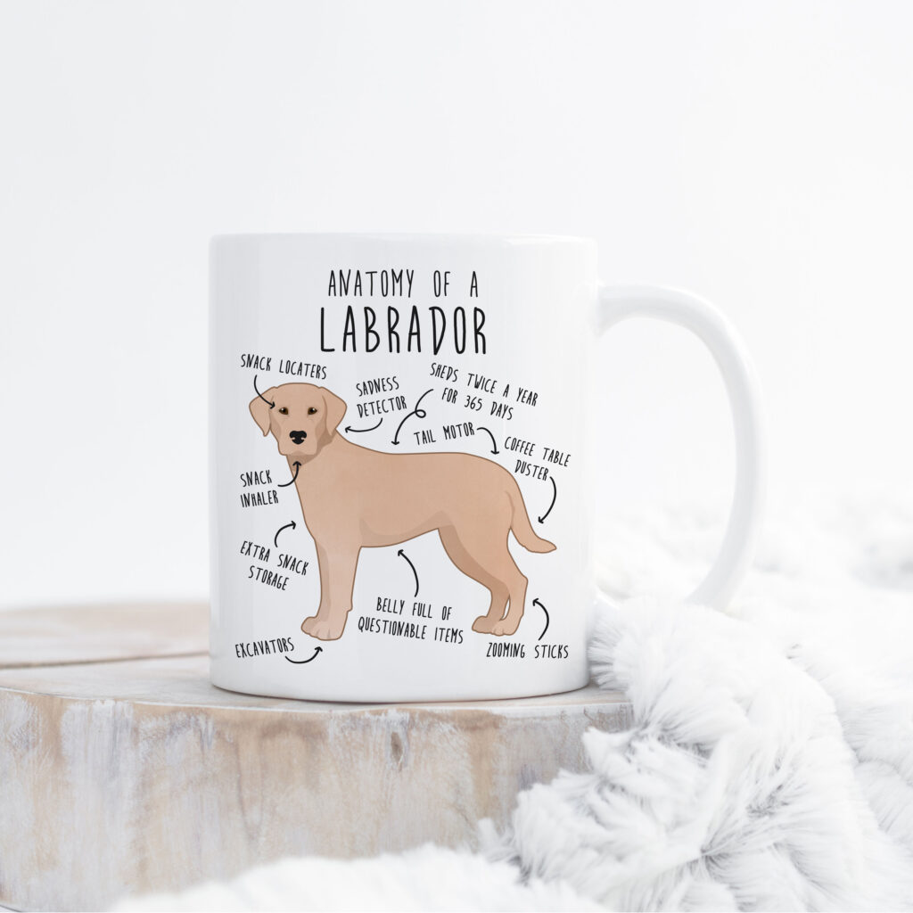 il fullxfull.4401968743 cit8 scaled - Labrador Gifts