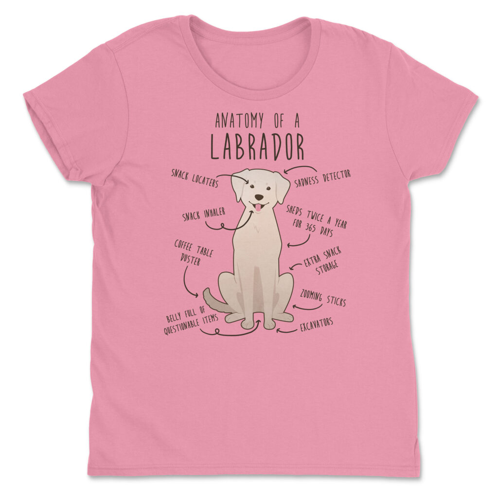 il fullxfull.4401968755 9m7l scaled - Labrador Gifts