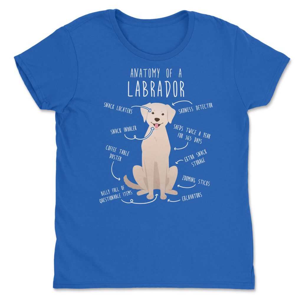 il fullxfull.4401968885 pxah scaled - Labrador Gifts