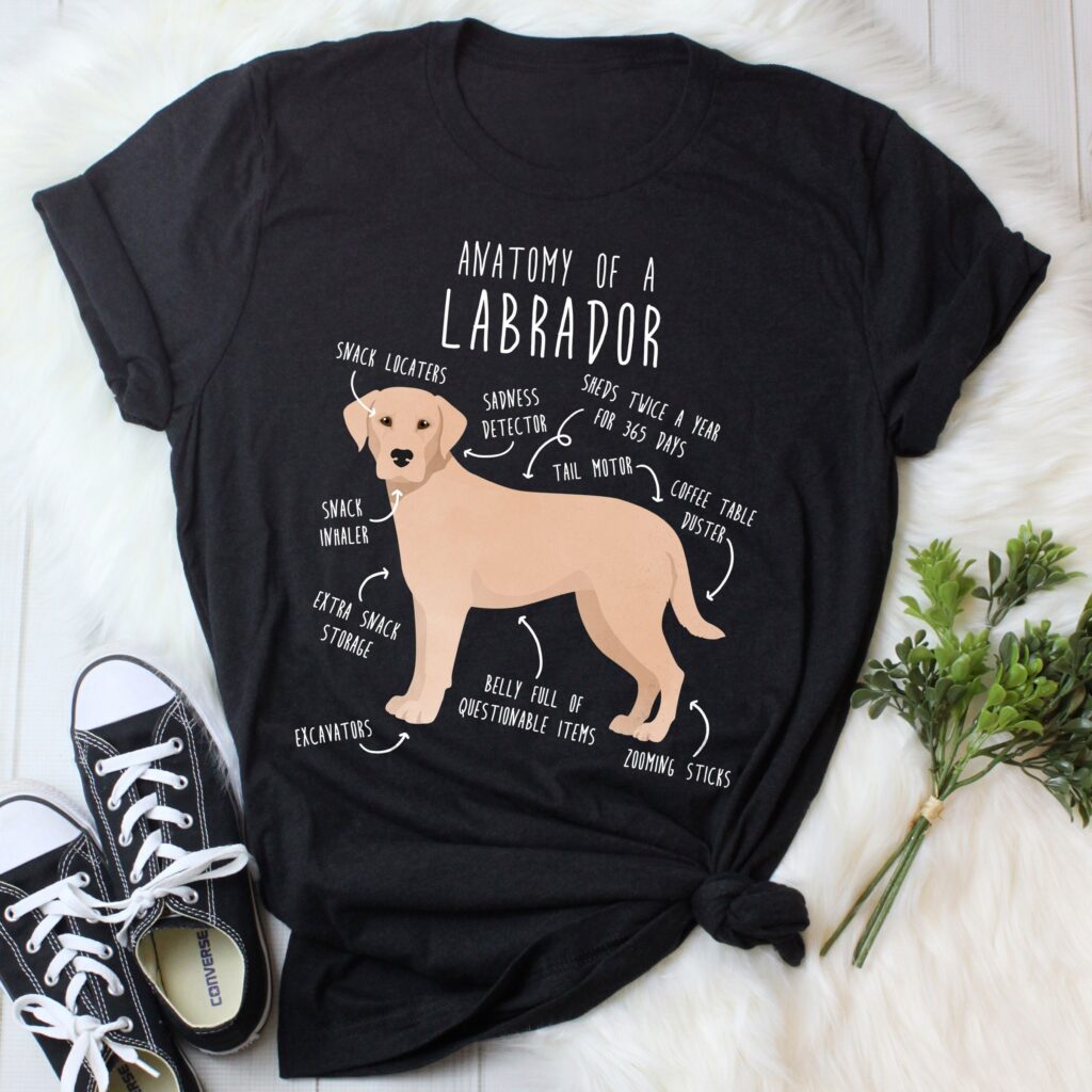 il fullxfull.4401982185 s08x scaled - Labrador Gifts