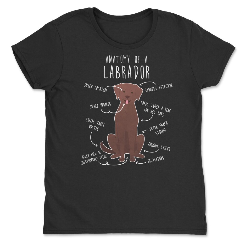 il fullxfull.4405237711 qium scaled - Labrador Gifts