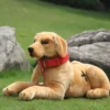 simulation animal dog realistic labrador plush toy golden retriever dog kids play doll for children Early 1 - Labrador Gifts