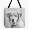 tb1040x1040large c1198800800 bgf8f8f8.u8 14 - Labrador Gifts