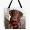 tb1040x1040large c1198800800 bgf8f8f8.u8 21 - Labrador Gifts