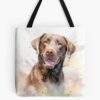 tb1040x1040large c1198800800 bgf8f8f8.u8 24 - Labrador Gifts