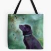 tb1040x1040large c1198800800 bgf8f8f8.u8 4 - Labrador Gifts