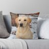 throwpillowsmall1000x bgf8f8f8 c020010001000 3 - Labrador Gifts