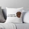 throwpillowsmall1000x bgf8f8f8 c020010001000 32 - Labrador Gifts