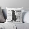 throwpillowsmall1000x bgf8f8f8 c020010001000 6 - Labrador Gifts