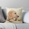 throwpillowsmall1000x bgf8f8f8 c020010001000 9 - Labrador Gifts