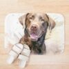 urbathmat flatlay context smallsquare750x1000.1u5 7 - Labrador Merch