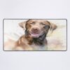 urdesk mat flatlaysquare1000x1000 3 - Labrador Gifts