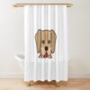 urshower curtain closedsquare1000x1000.1 14 - Labrador Gifts