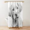 urshower curtain closedsquare1000x1000.1 8 - Labrador Gifts