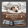 81tiNpHfaxL. AC UF8941000 QL80 - Labrador Gifts