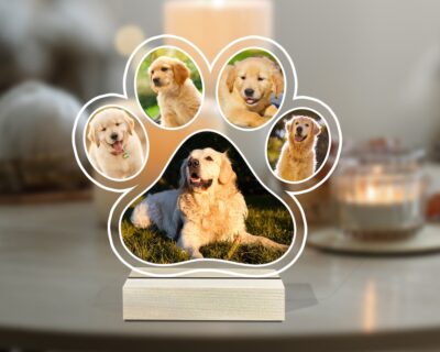 Custom Labrador Photo Night Light - Labrador Gifts