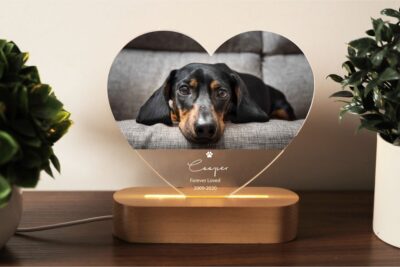 Labrador Memorial Custom Acrylic Heart Night Light - Labrador Gifts