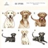 il 1000xN.6064767138 pgt9 - Labrador Merch